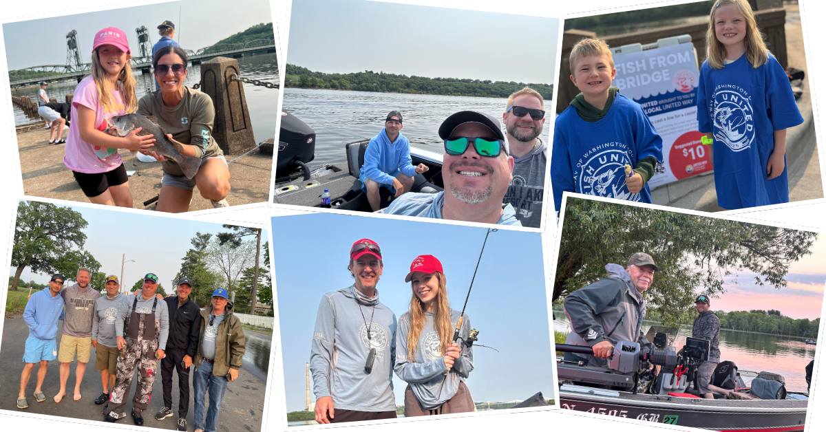 fish-photo-collage-USE